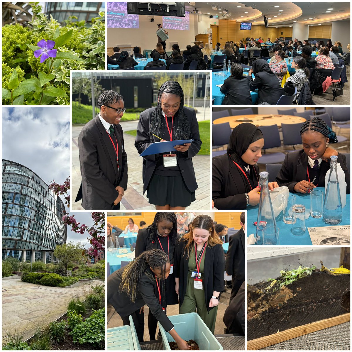 jnoonphoto's tweet photo. Day 2 at @CoopAcademies #ecoconference with @CoopAcademyNM
Another amazing day! 
@CoopKeela @fair_funky @The_RHS @SowtheCity @mud_cic https://t.co/LFCqoSdBSX 
🌱🗑️♻️🐝💚🌻🌍🪱 https://t.co/onrP9cL1x5