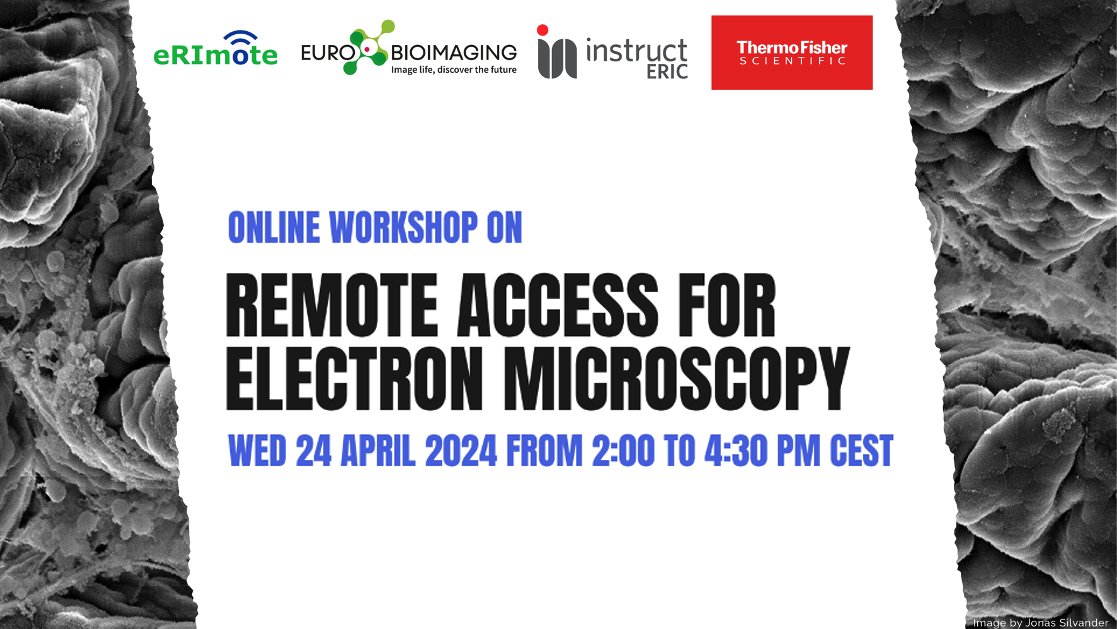 EBIB_imaging's tweet photo. Unlock the power of electron microscopy from anywhere!
We are hosting an advanced online #EMworkshop on remote access and data analysis for all @instructhub and @EuroBioImaging Nodes, presented by @thermofisher and @Astbury_BSL with support from @erimote_EU. https://t.co/519yDjLnlP
