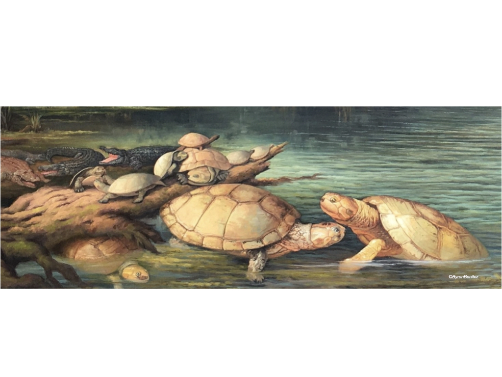 peapaleontologica.org.ar/index.php/peap…

El primer artículo describiendo a detalle los fósiles de Socha, Boyacá.