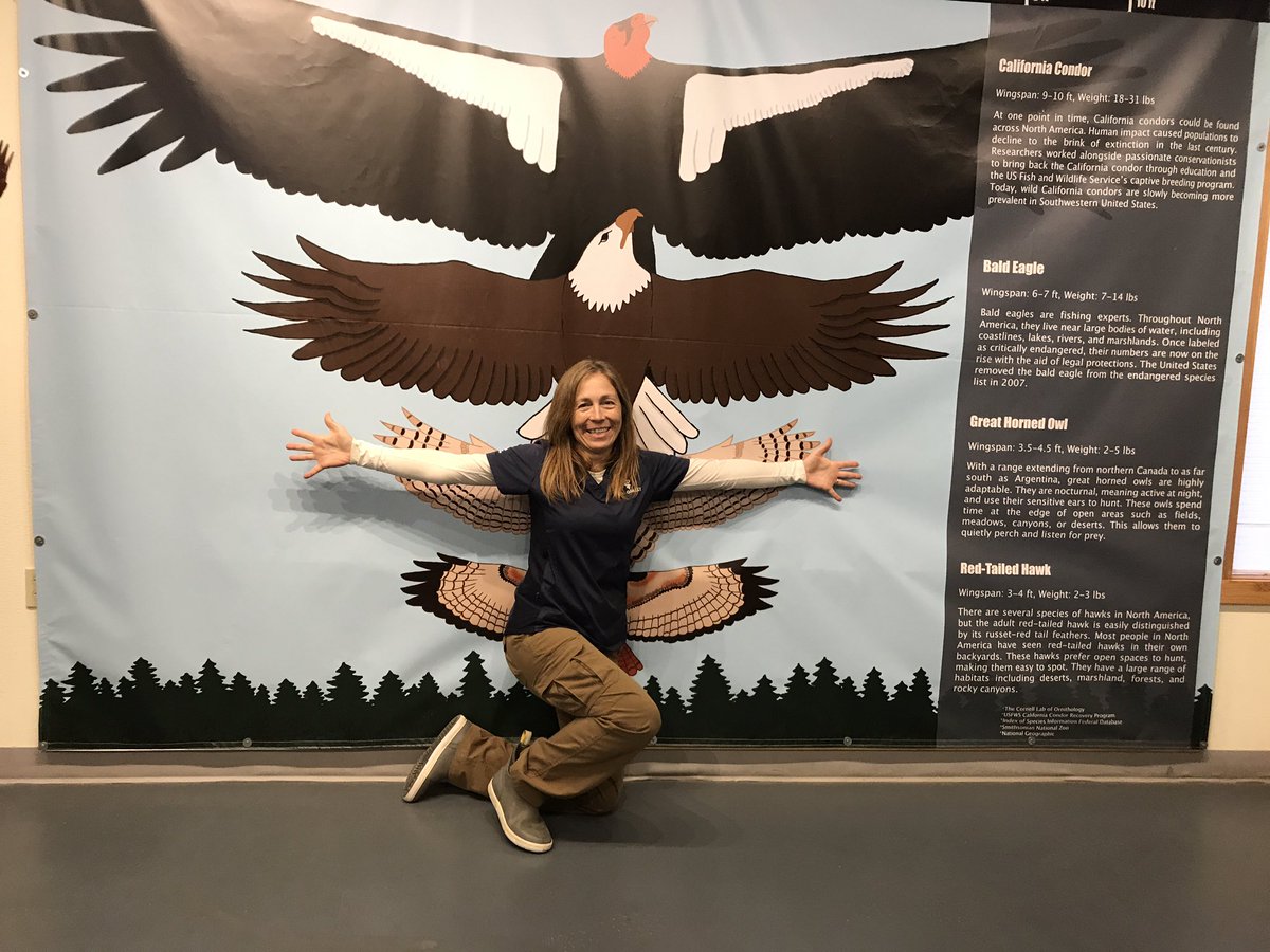 breaking news: the logo of the Church of the Eagle and the Condor does *not* accurately represent the birds' wingspan differences! twitter.com/NGO_ICEERS/sta…