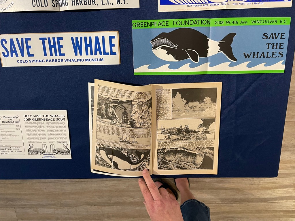 Last week, our Beyond the Book club had lively discussions about 'Greenpeace Captain' by Peter Wilcox. Participants also had the unique opportunity to view 'Save the Whales' memorabilia from our collections, specially taken out for the occasion!