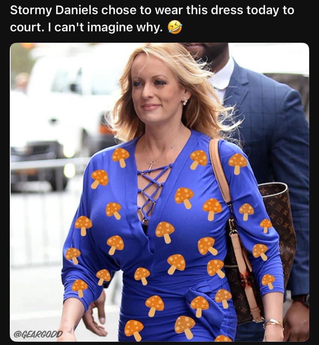 demB4cap's tweet photo. @beeple @StormyDaniels @realDonaldTrump Her dress into court the other day??? https://t.co/UsAhfy20lT