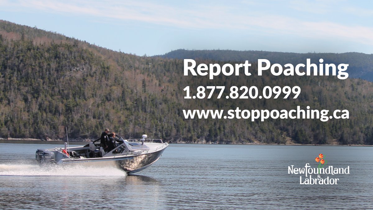 Help our Resource Enforcement officers protect NL's natural resources by reporting suspected illegal activity online at stoppoaching.ca or by calling 1-877-820-0999. #GovNL #stoppoaching