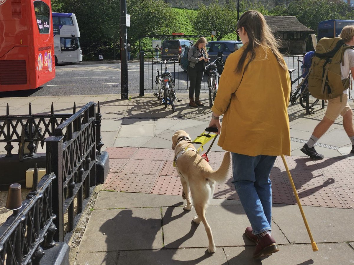 Happy International Guide Dog Day! 🦮 Independence and companionship thanks to Dezzie. 💛 #InternationalGuideDogDay