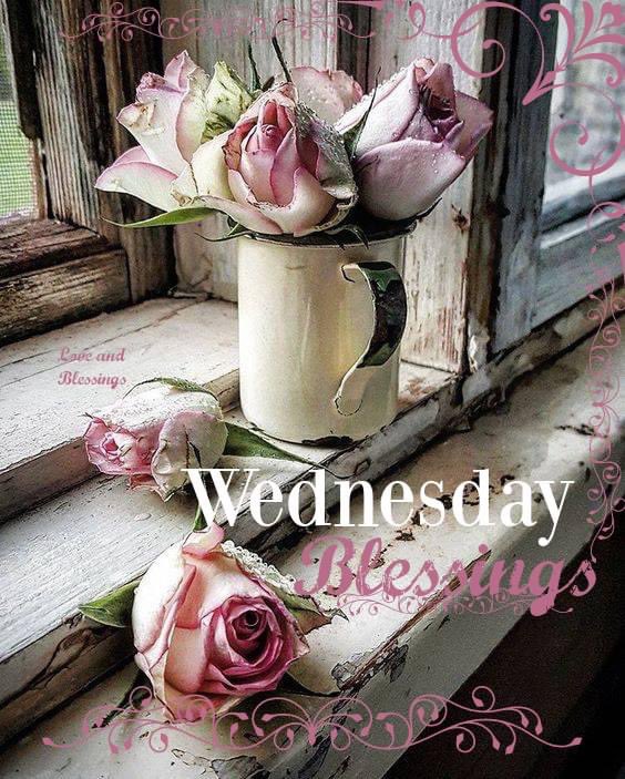 @TwFsClub_Leader To my @TwFsClub Family (¯'🩷'¯).🌸.🌿.🐝.🌿 ¸¸'•. ¸.•' ⁀⋱‿•.♡.•⁀🩷‿..🌿.🌸.🌷.~Wishing you a Beautiful, Blessed Day!🌿.🌸.🌿.🌷.•.༺.• ღ•༺•.🌿.🩷.🌿. 🌟@TwFsClub_Leader 🥇@papiko7890 🥉@GuiverMiguel 𝑳𝒐𝒗𝒆 @botagain