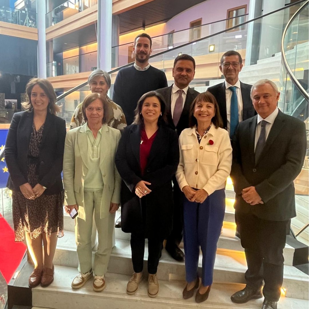 A Delegação Socialista Portuguesa no Parlamento Europeu.