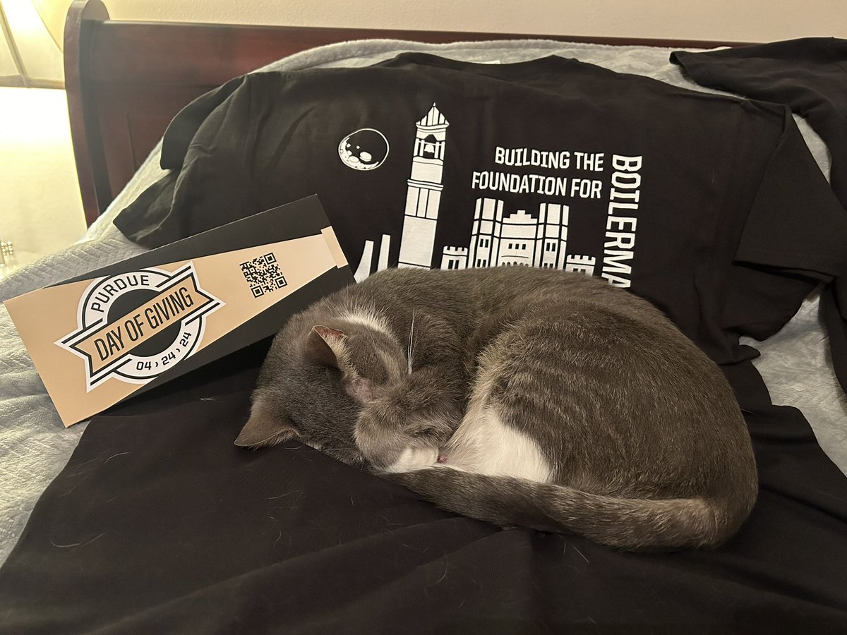 Laying your clothes out before you get dressed *sounds* like a good idea…

It seems I will not be wearing this #PurdueUR t-shirt to work for #PurdueDayofGiving, it’s been claimed (and will now be covered in grey/white fur). #dontmovethekitty #sleepykitty