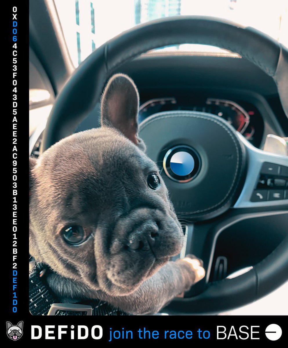 thebasedbuilder's tweet photo. @cryptomemez $DEFIDO has been building a solid community through the bear market and the dog is back and better than ever

Utility didn’t even drop yet and market cap is only $3mil at the moment. Great entry for new investors looking to get exposure to #BASE

@defidotoken https://t.co/TIW5qbdFuc