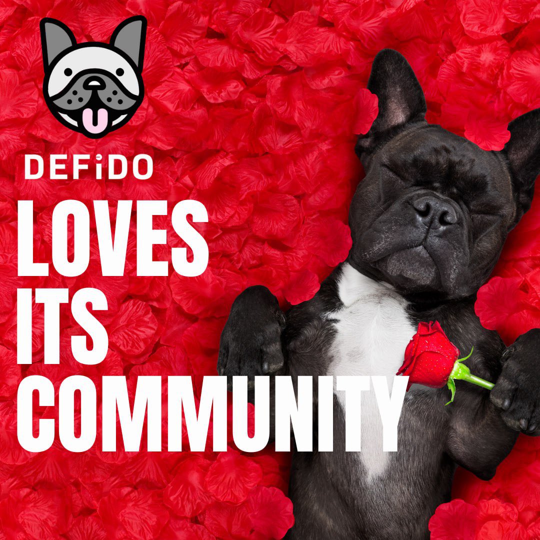 thebasedbuilder's tweet photo. @cryptomemez $DEFIDO has been building a solid community through the bear market and the dog is back and better than ever

Utility didn’t even drop yet and market cap is only $3mil at the moment. Great entry for new investors looking to get exposure to #BASE

@defidotoken https://t.co/TIW5qbdFuc