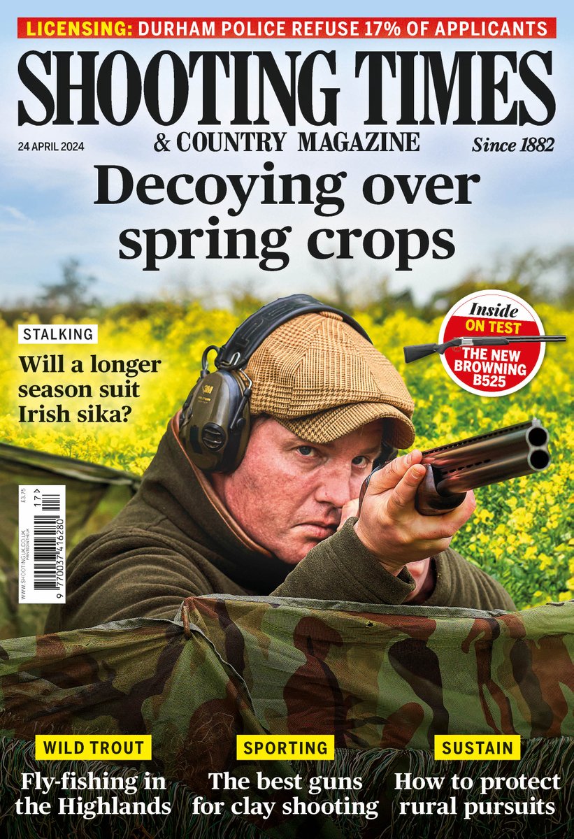 The latest issue of Shooting Times is out now! This week, Ireland’s extended sika season offers opportunity to cull a stag or two. BASC shares key principles that shooters everywhere must adhere to. Regular cleaning and maintenance of guns using products that are specifically…