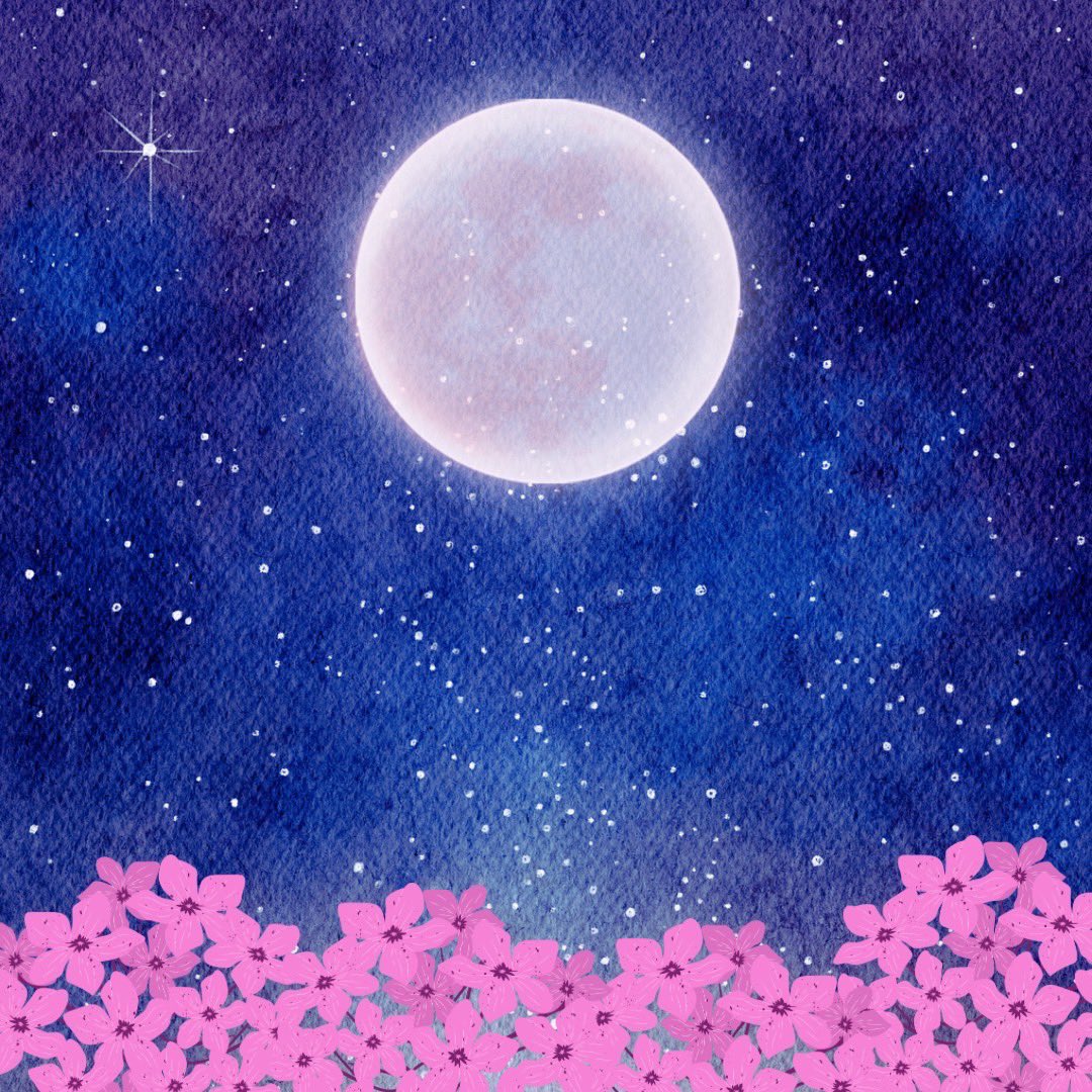 今日は #満月🌕 アメリカでは、芝桜やピンク色のフロックスの開花時期が4月のため、この時期の満月を #ピンクムーン と呼ぶようになったそう🤔🌸 夜はまだまだ冷えるのであたたかくして おやすみください💤