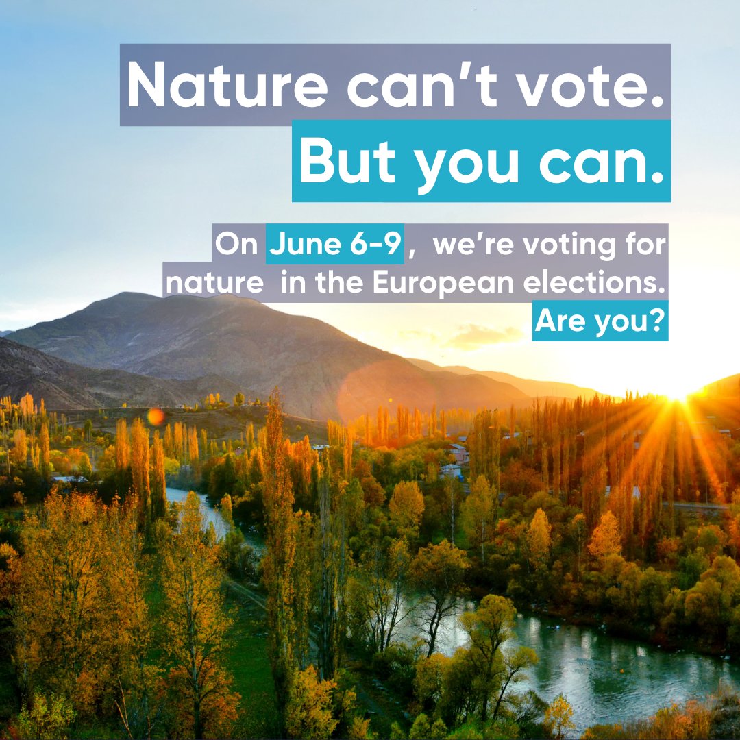 People like us have to show up. People who care for the land and want to preserve nature for generations to come. But it’s more than just voting, we need to be vocal! 🐝🌺 🗳️ On June 6-9, vote to secure a Europe that protects nature! 📢 Spread the word! wemove.eu/u/Vote-for-Nat…