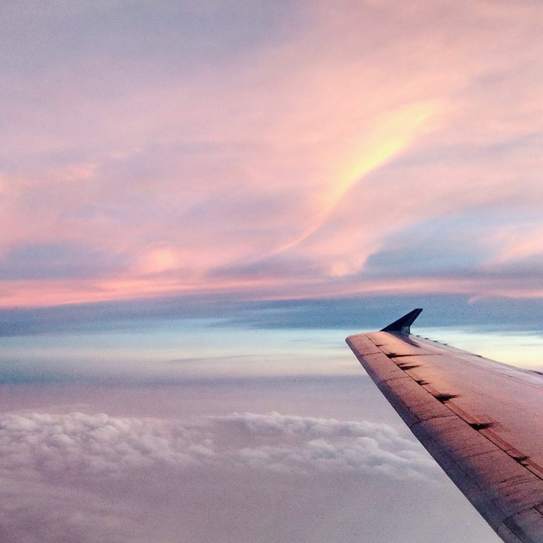 Justine Castellon tweet media