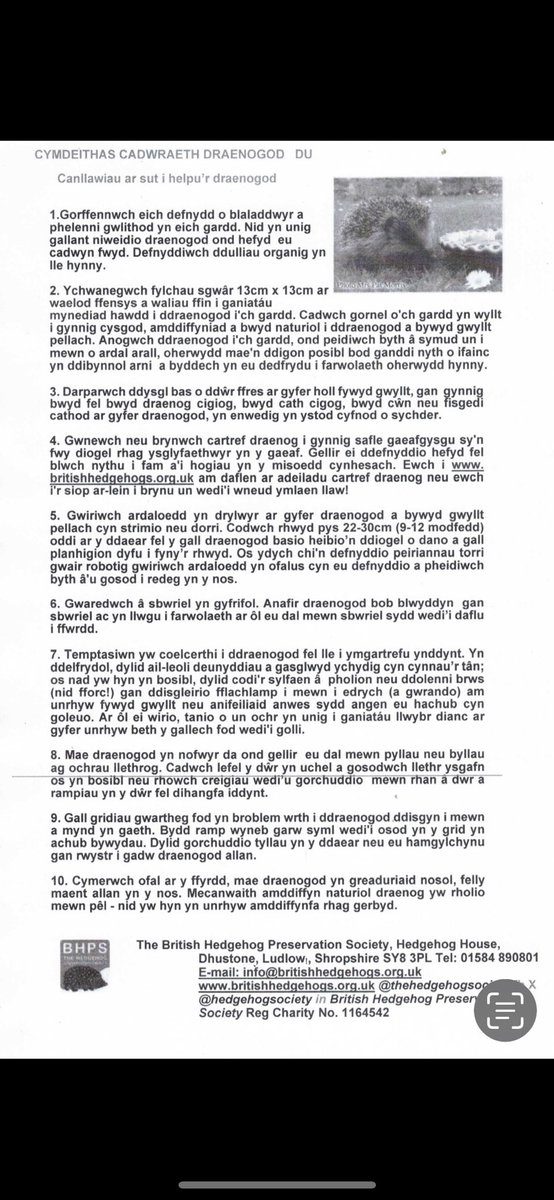 CT Llanbed Lamp TC tweet media