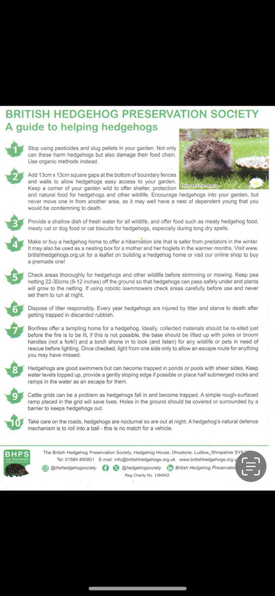 CT Llanbed Lamp TC tweet media