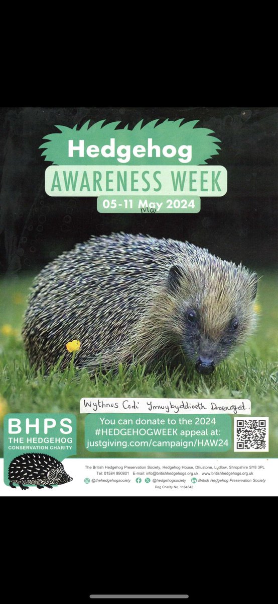 CT Llanbed Lamp TC tweet media