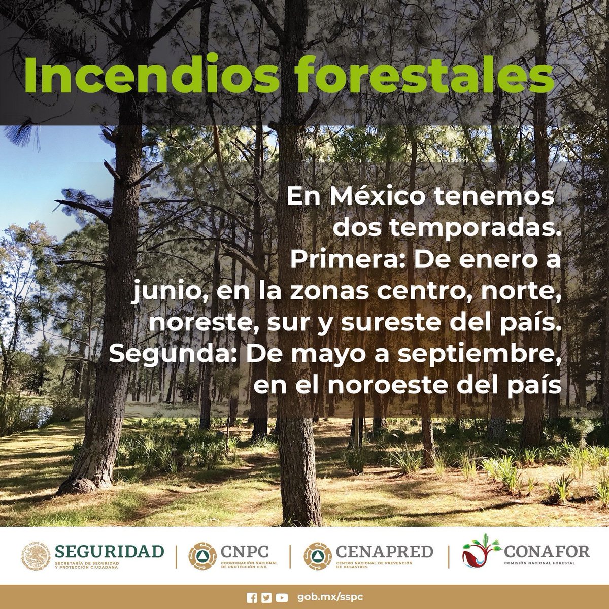 Estamos en temporada de #IncendiosForestales 🔥🌲 ¡Prepárate y evítalos! 
👉🏼 bit.ly/439z5H8