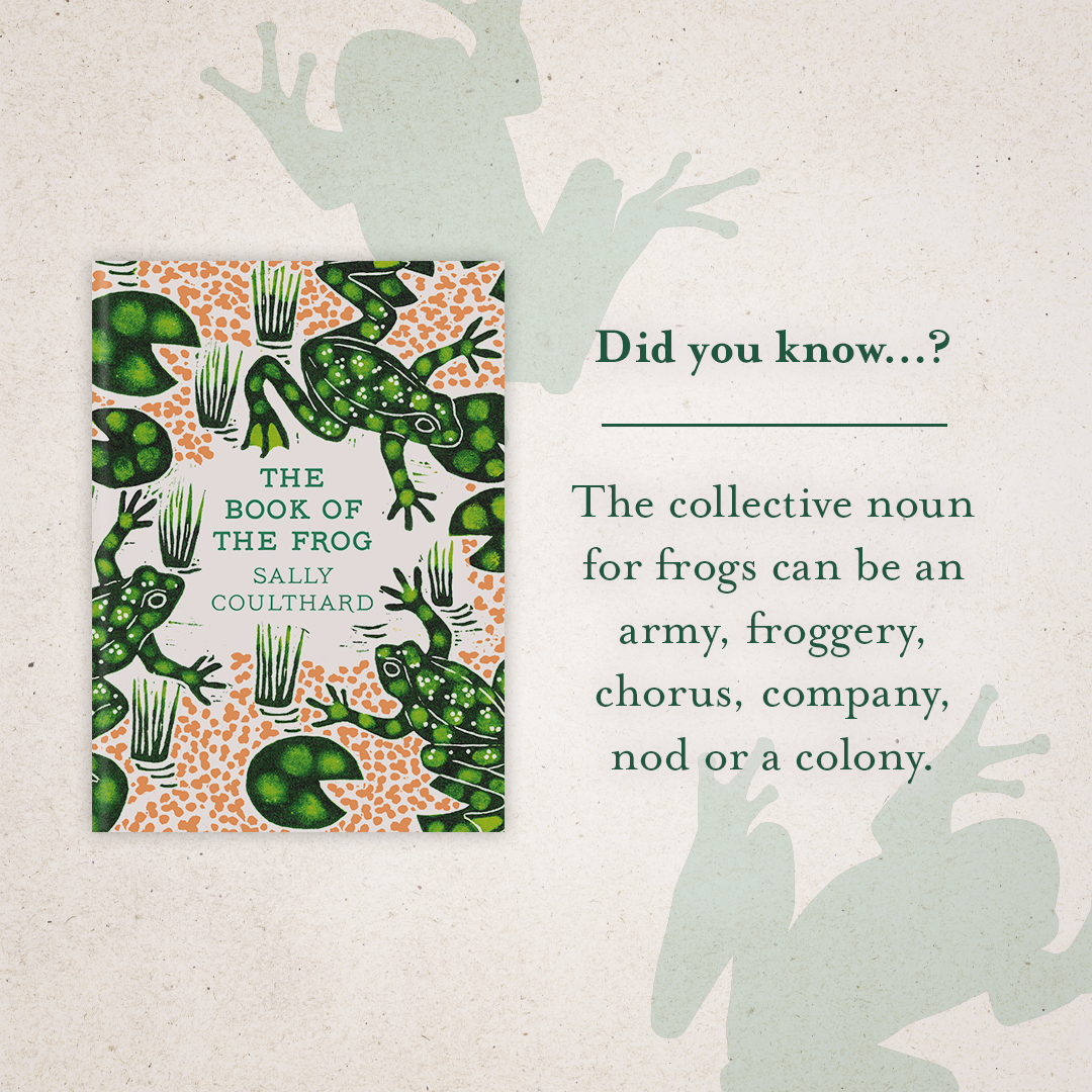 🐸Did you know…⁉🐸 The collective noun for frogs can be an army, frog­gery, chorus, company, nod or a colony. @SallyCoulthard's #TheBookOfTheFrog is the ideal jumping-off point for anyone with a fascination for amphibians. Out 9th May: bit.ly/3xIPEyc
