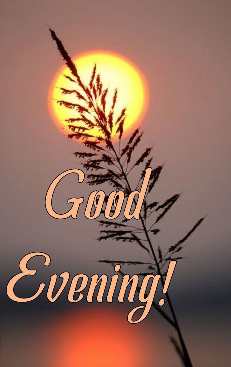 السلام وعلیکم و رحمتہ اللہ وبراکاتہ
Good evening
my x family