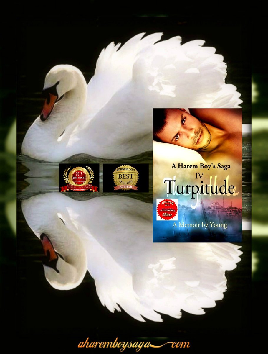 Gracefulness is defined as the outward expression of the soul's inward harmony. TURPITUDE MyBook.to/Turpitude is the 4th book to a sensually captivating true story about a young man coming of age in a secret society & a male harem. #AuthorUproar #BookBoost