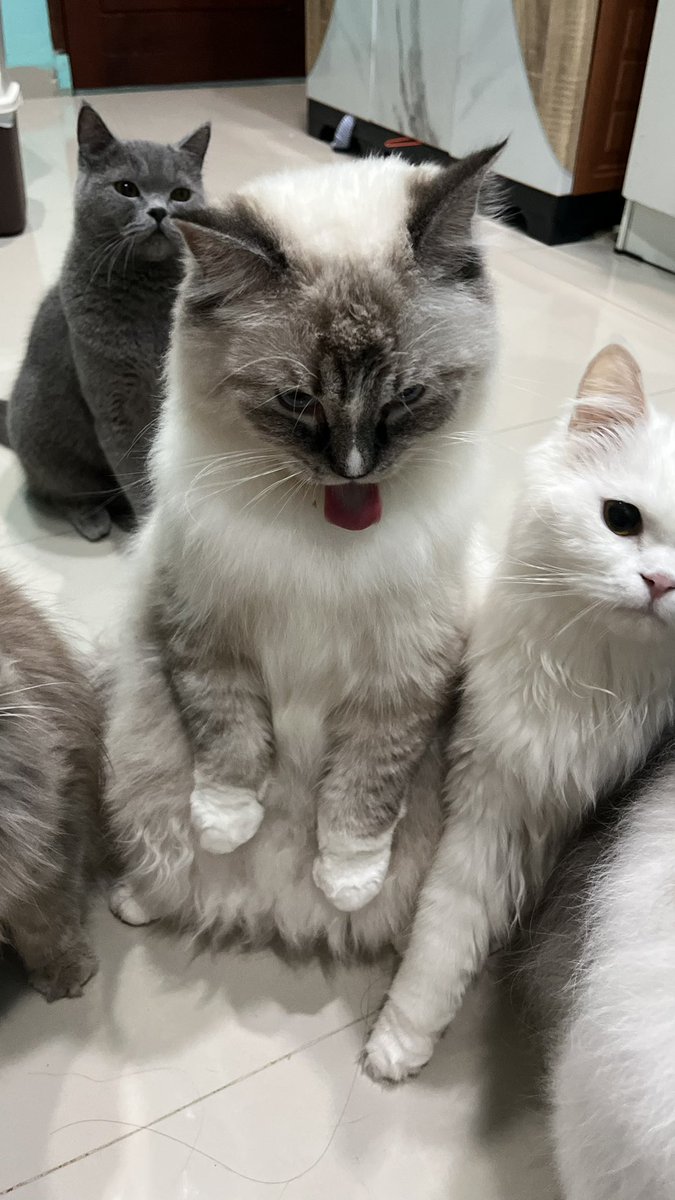byyyta's tweet photo. https://t.co/ZqkRfiVp81