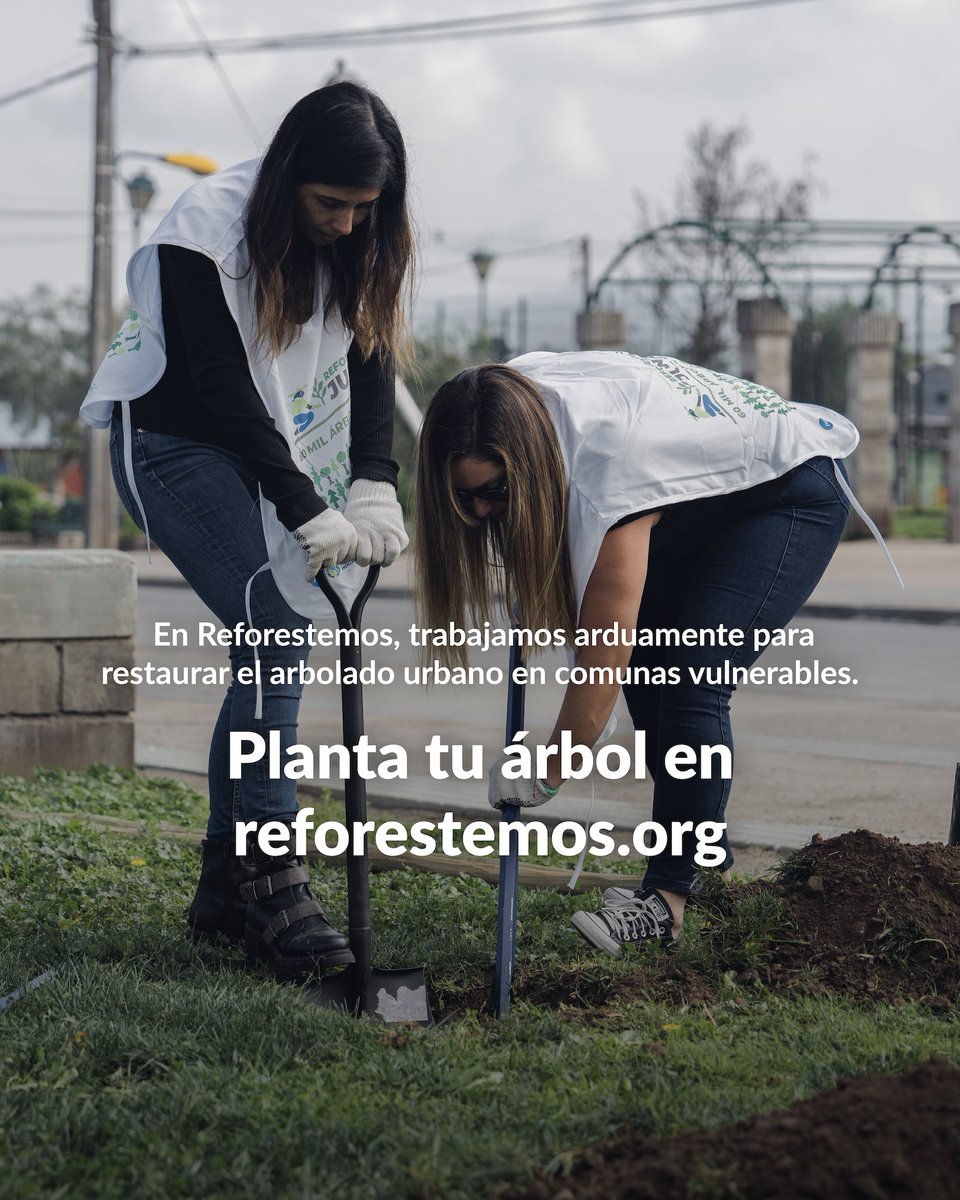 Fundación Reforestemos (@Reforestemos_) on Twitter photo 2024-04-24 12:39:02