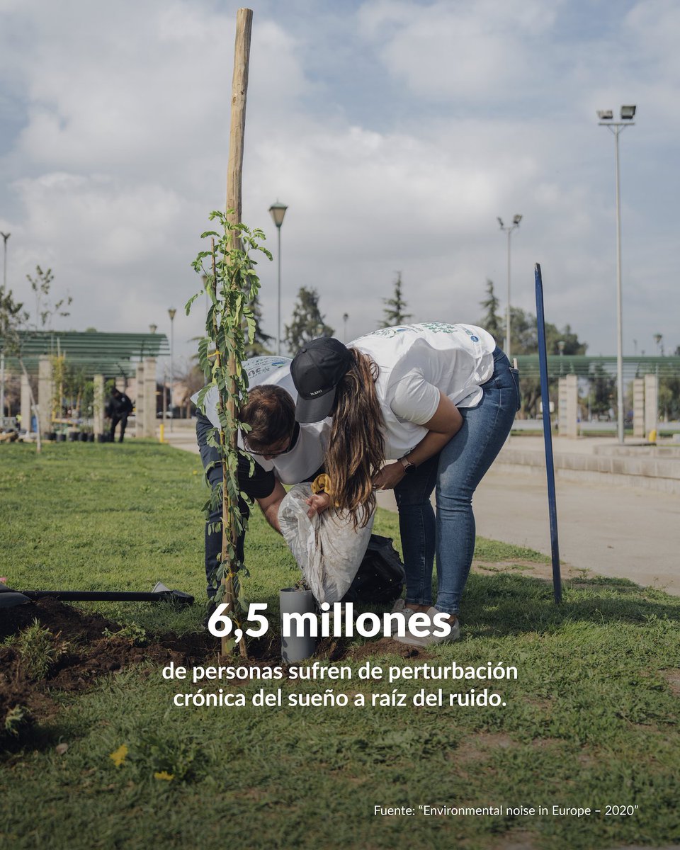 Árboles, los mejores aliados para reducir los decibeles 🎵🌳

🔊 El Día Internacional de la Conciencia sobre el Ruido busca promover la comprensión y el reconocimiento del #ruido como un problema ambiental, y que las personas conozcan los impactos en la salud y calidad de vida.