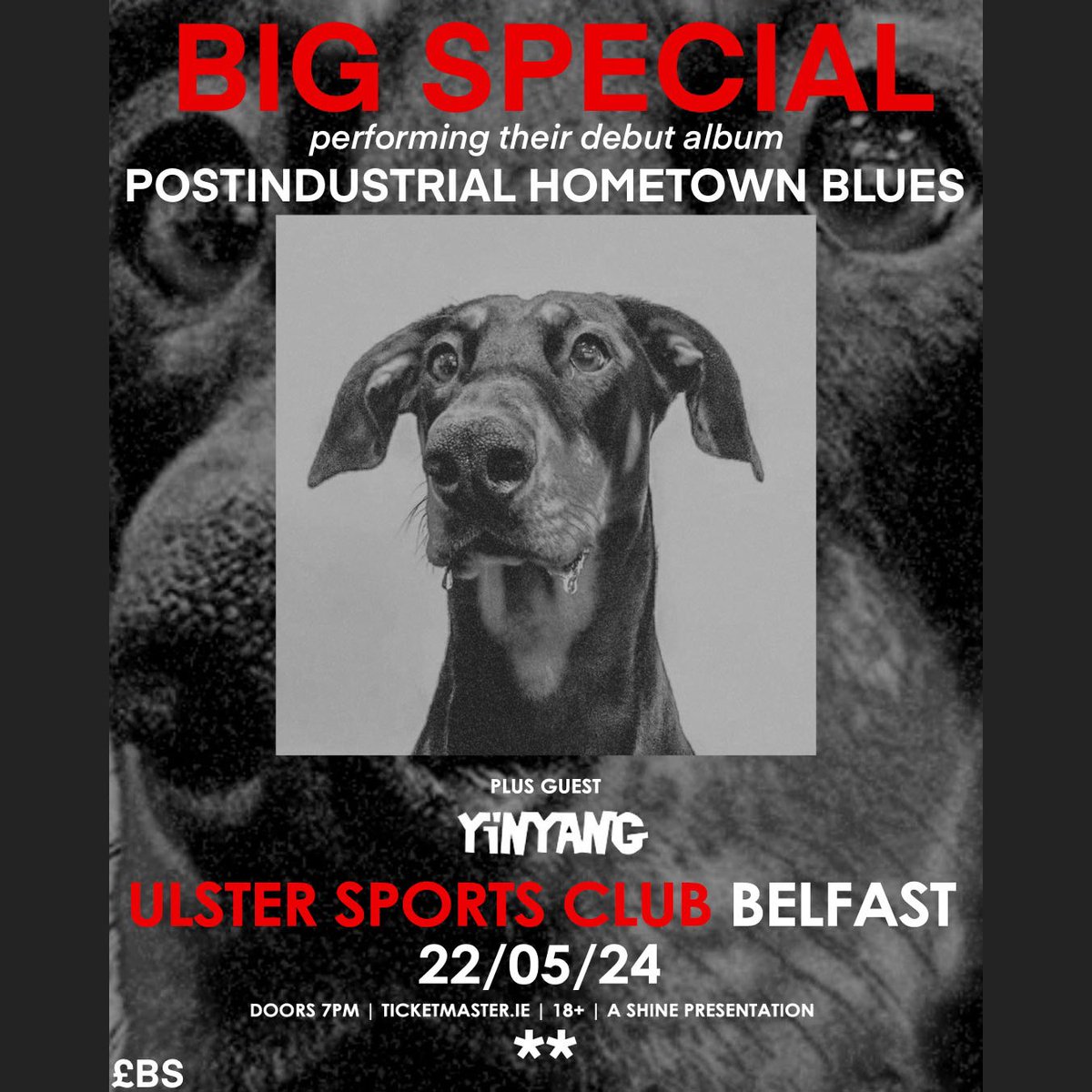 𝗦𝗛𝗢𝗪 𝗨𝗣𝗗𝗔𝗧𝗘 📣 @helloitsyinyang has been added to the bill for @BIGSPECIAL_ at Ulster Sports Club on 22nd May! Remaining tix 👉🏼bit.ly/BigSUSC