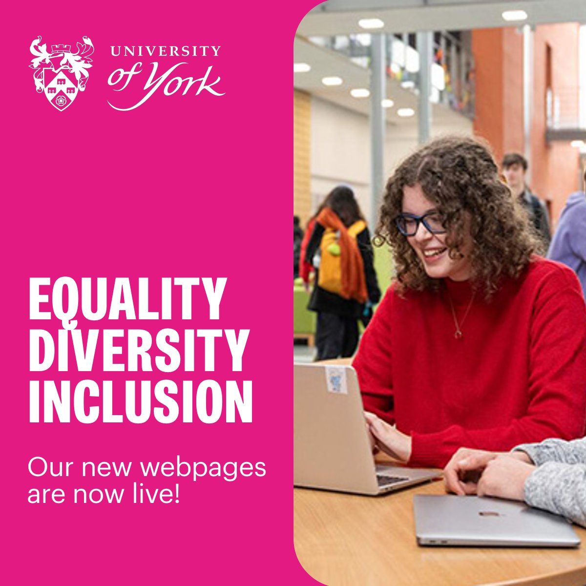 We're pleased to announce that our new #EDI webpages are now live! 🚀 The committee and its champions are working tirelessly to ensure @uoy_sbs is a supportive, inclusive place to work and study, with equal opportunities for all. Read about our work: york.ac.uk/business-socie…