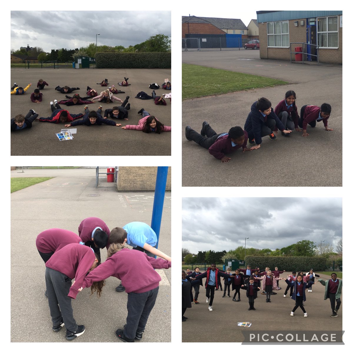 Stphilipevanspr's tweet photo. #SPEBl3 have been working in groups to act out animals to explain their adaptations. The children used their oracy skills to describe what they thought each group might be! #SPELiteracy #SPEOutdoorLearning ππ¦ https://t.co/JOaKlS4qGe