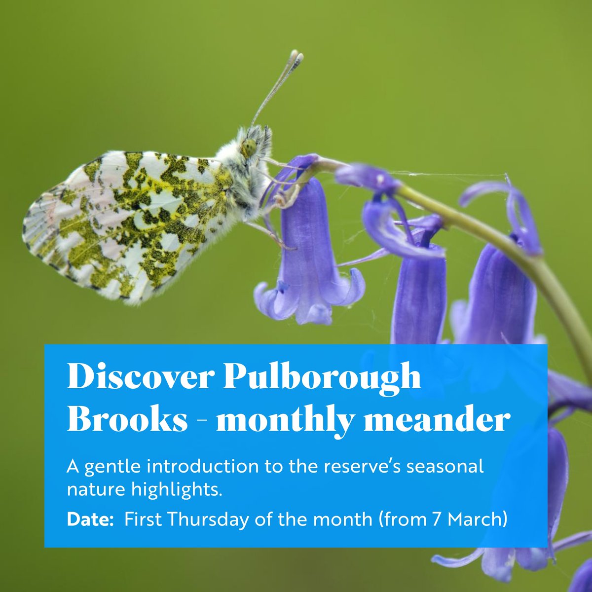 Join our friendly volunteers for our next monthly meander on Thursday 2 May when we'll be looking forward to hearing brilliant birdsong. The walk starts at 10.15am - you can book online or pay on the day at out welcome hut. Find out more: events.rspb.org.uk/events/63467