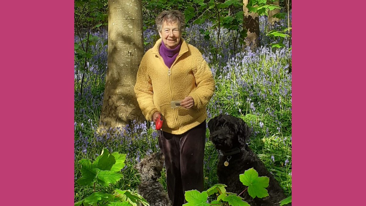 Is there anything more inspirational to a writer at this time of year than the bluebells? #writing #writer #WritingCommunity #bluebells #getoutdoors #spring #writinginspiration