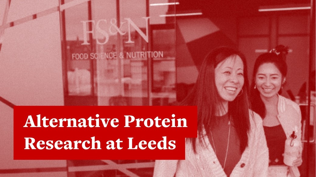 Did you know that @UniversityLeeds has developed unique laboratory models and simulators available for commercial food research using #alternativeproteins? Find out more: spotlight.leeds.ac.uk/alternative-pr…