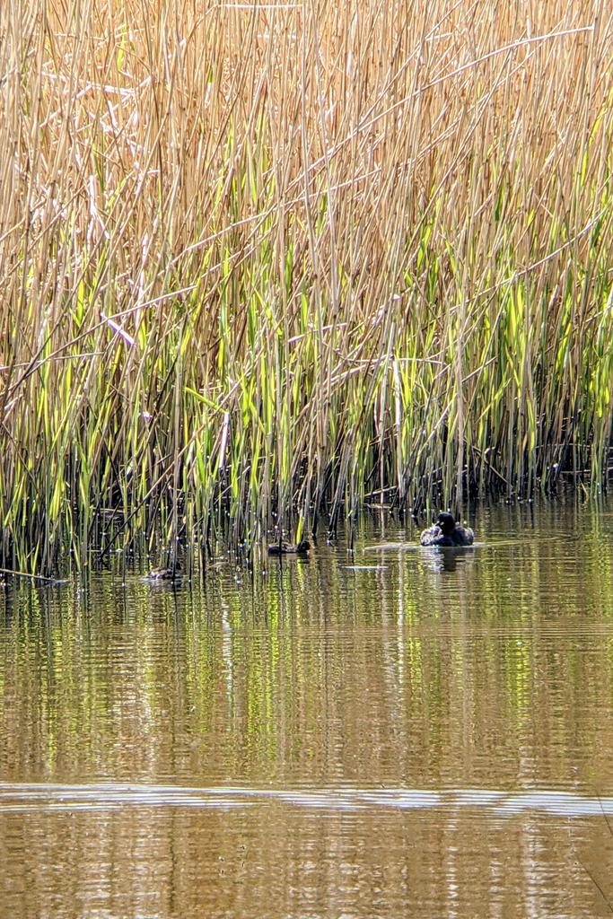 Sam Walker tweet media