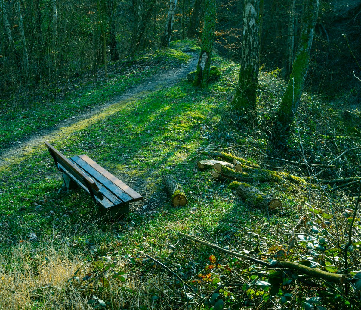 📷 1/160 sec at f/9,0, ISO 125/400, 40 mm prime #dan23freedom
#germany #nordrheinwestfalen #trees #ilovetrees #tree_magic #benches #bench #benchesaroundtheworld #benchesoftheworld #sky #skycolors