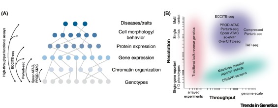 Discovering mechanisms of human genetic variation and controlling cell states at scale dlvr.it/T5xnWd
