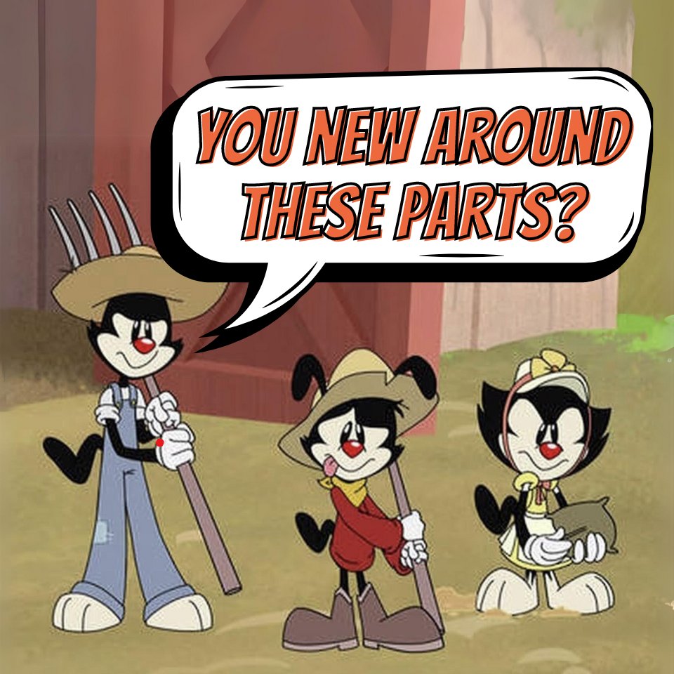 AnimaniacsCT's tweet photo. Be sure to join our Telegram so you can participate in our daily Raid Contests and our Telegram Contest!  We're giving away 2 Million $TOONS this week! 💰

Telegram: https://t.co/Ms6f7VdnwT

#ToonsOnSol #SolanaMemeCoins #Animaniacs https://t.co/0advG8NxCU