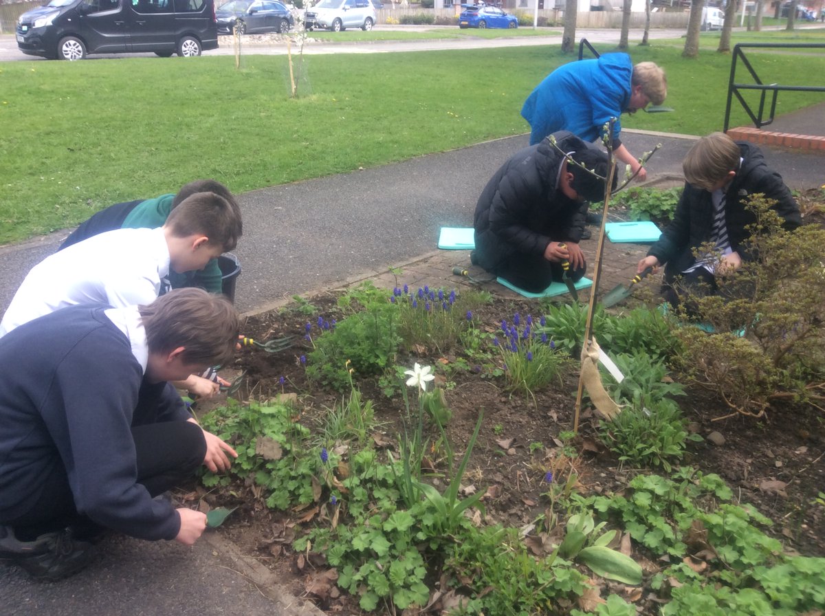 S1 Social Subjects learning about Medieval Physic Gardens while tidying up the school grounds which contributes to their Discovery Award @JohnMuirTrust