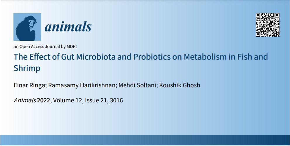 📣'The Effect of Gut Microbiota and Probiotics on Metabolism in Fish and Shrimp' 👥Einar Ringø, et al. (2022). Read the full paper👉mdpi.com/2076-2615/12/2… #aquaculture