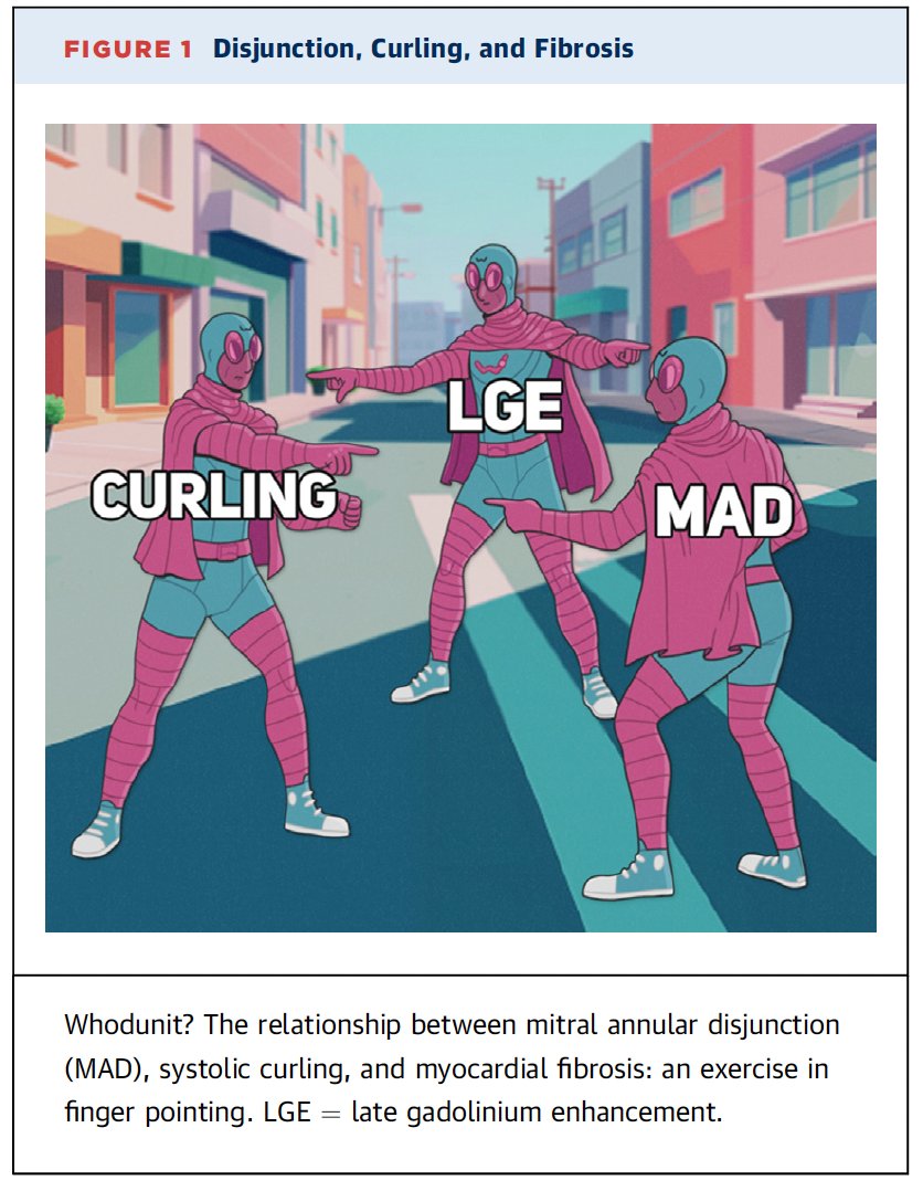 Ventricular Arrhythmias in Mitral Valve Prolapse Disjunction, Curling and Fibrosis: A Whodunit Mystery @JACCJournals jacc.org/doi/10.1016/j.…