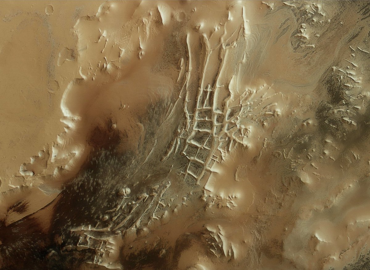 Spinnen op Mars? Nee, deze donkere vlekken, gezien door ESA's Mars Express aan de rand van een gebied met de bijnaam 'Inca City' in het zuidelijke poolgebied van Mars, hebben een meer 'down to earth' verklaring...