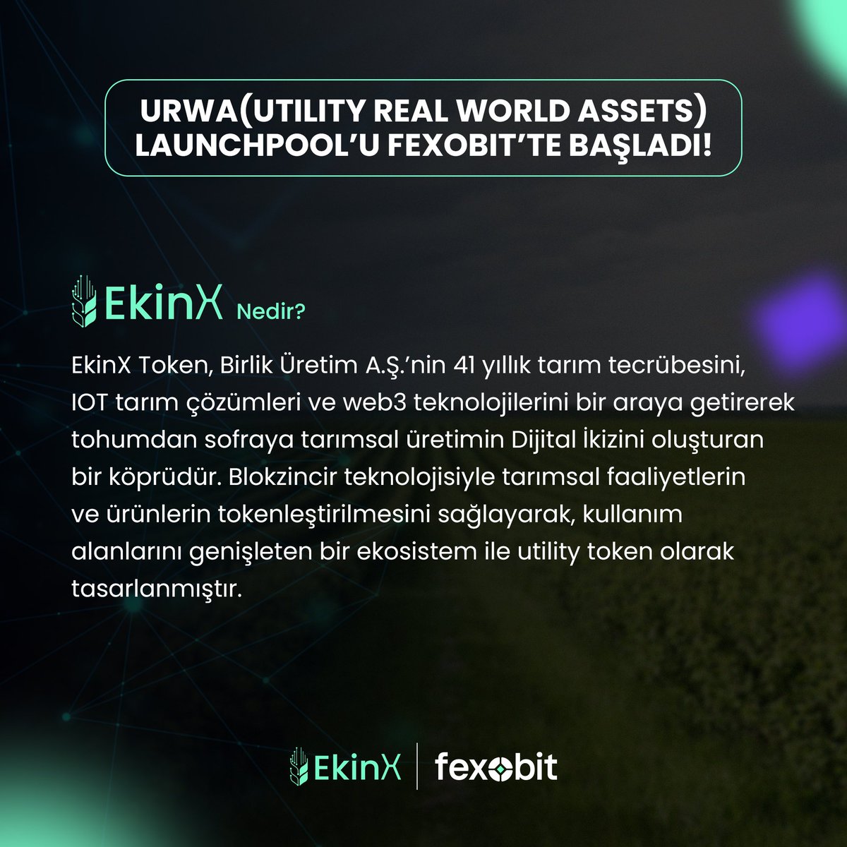 #EkinX Token nedir? 🌾👇🏻