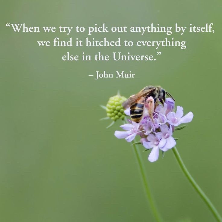 wilson_hurley's tweet image. Wisdom sees our interdependence and compassion takes care of our collective wellbeing, compassmethods.com. youtube.com/@CompassionsCo… 
#wisdom #interdependence #care #compassion #wellbeing