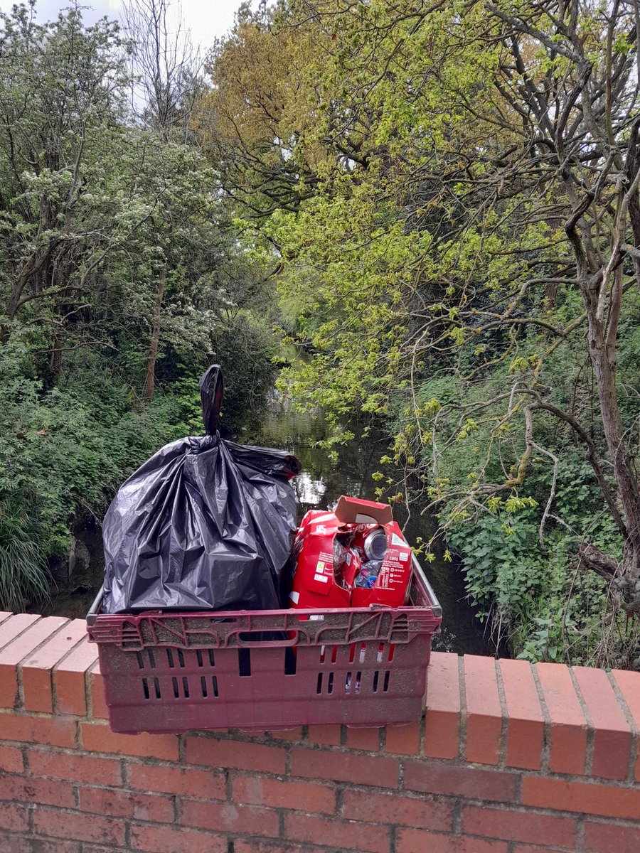 Well done to Rokerby Primary School eco committee who did a fantastic litter pick today on #WimbledonCommon to help protect the Beverley Brook. We were lucky enough to see mandarin ducks and a kingfisher! To explore out education sessions, visit southeastriverstrust.org/education