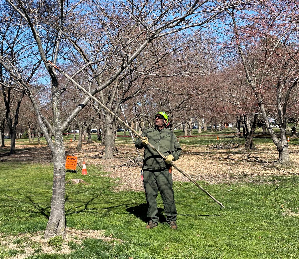 NationalMallNPS tweet picture