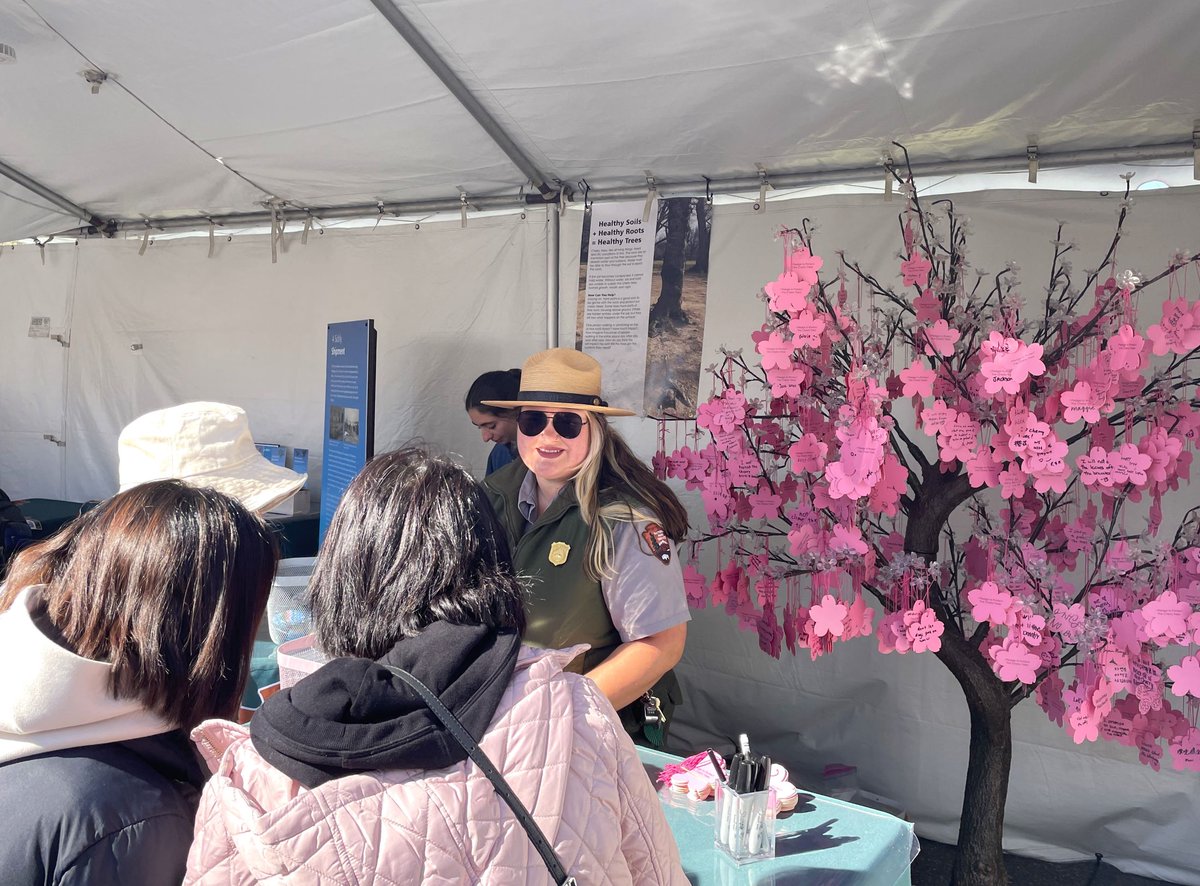 Cleaning the Reflecting Pool. Pruning the cherry trees. Welcoming millions of visitors. Sharing stories from American history. Managing the administrative & budgetary needs of park operations. Planning for the future. Our staff does it all! #NationalParkWeek #WorkforceWednesday