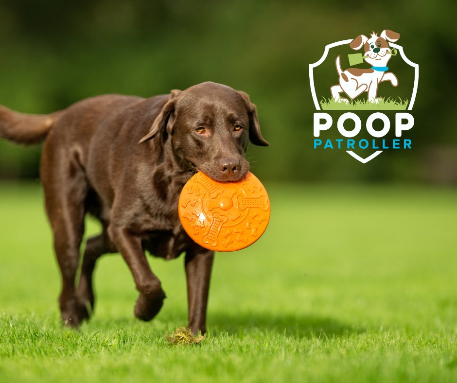 Poop Patroller (@PoopPatrollerVA) / Posts / X
