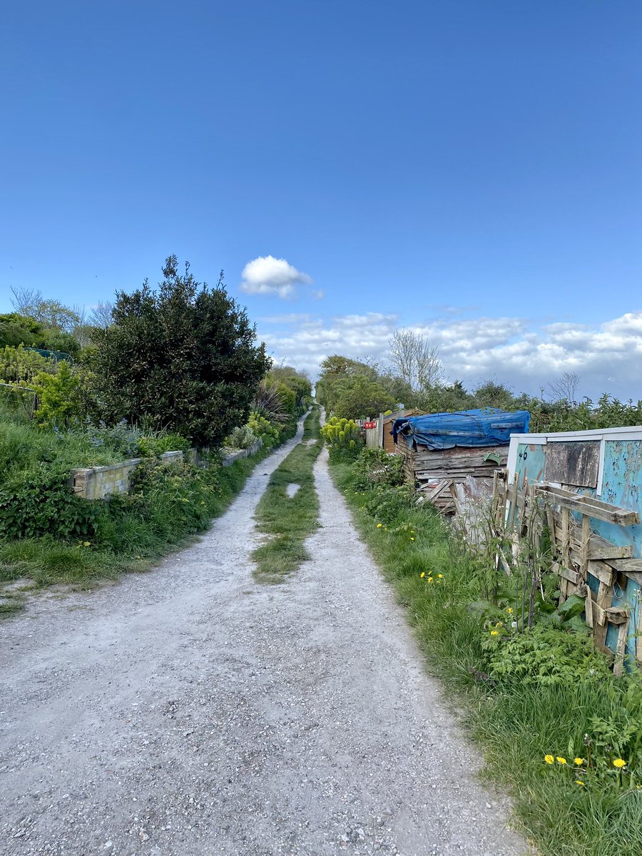 That allotment view April 2024

#allotmentlife #springallotment