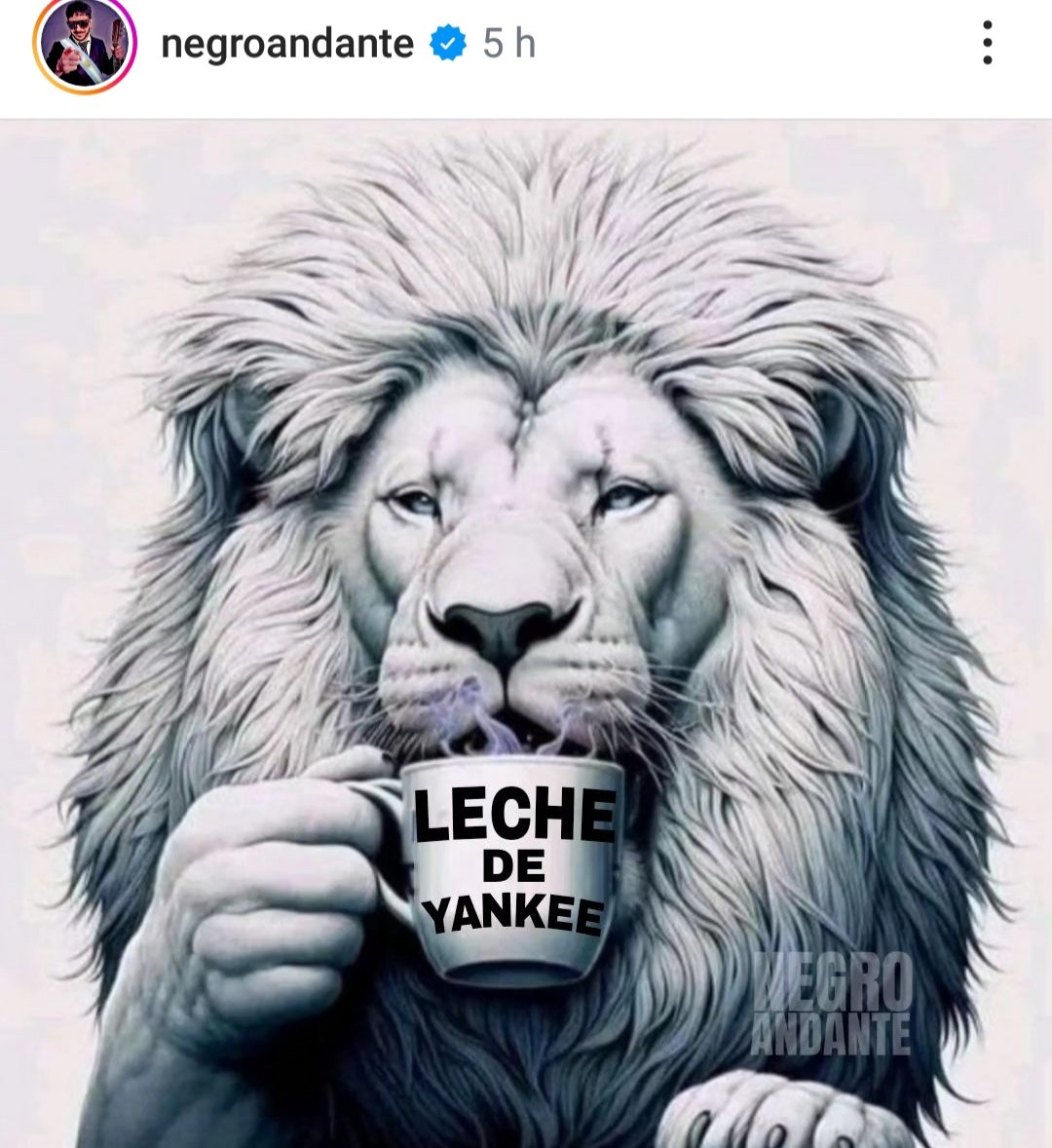 Gatita  mimosa  desayunando 😏
(Instagram)