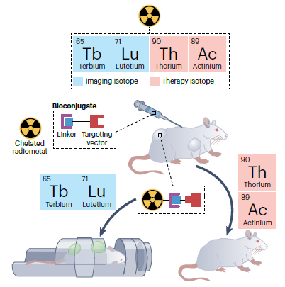 Harnessing the power of f-block elements in radiopharmaceuticals nature.com/articles/s4157… A look back on 2023 from our Heavy-element chemistry journal club, Alex Rigby & Trevor Arino highlight their top f-block element research picks from last year. @BerkeleyLab @UCBerkeley